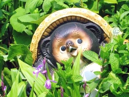 みどりのたぬきWEB診断